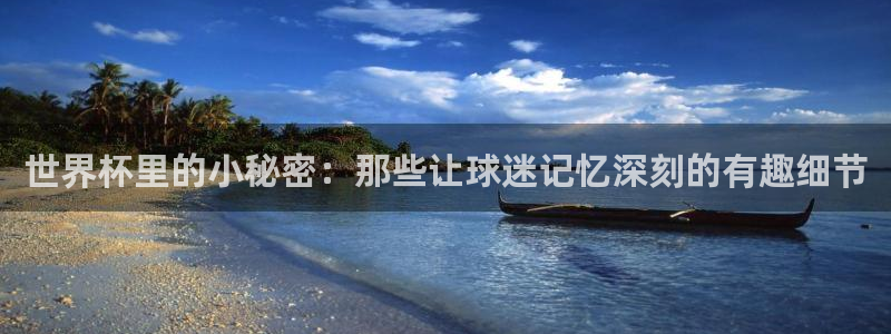 2026世界杯:世界杯里的小秘密:那些让球迷记忆深刻的有趣细节