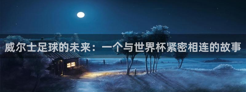 2026年世界杯赛程表时间:威尔士足球的未来:一个与世界杯紧密相连的故事