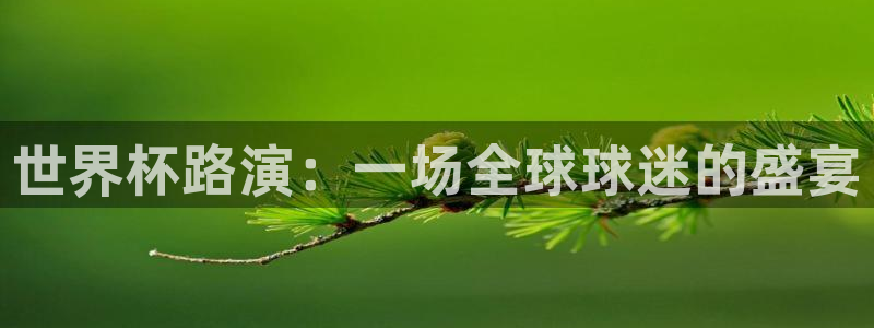 2026世界杯赛制:世界杯路演:一场全球球迷的盛宴